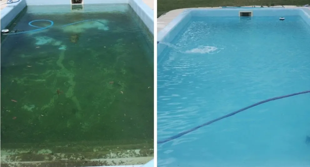 Cuando mantener la pileta se vuelve un trabajo para nada sencillo: “Aportamos nuestras máquinas e insumos”