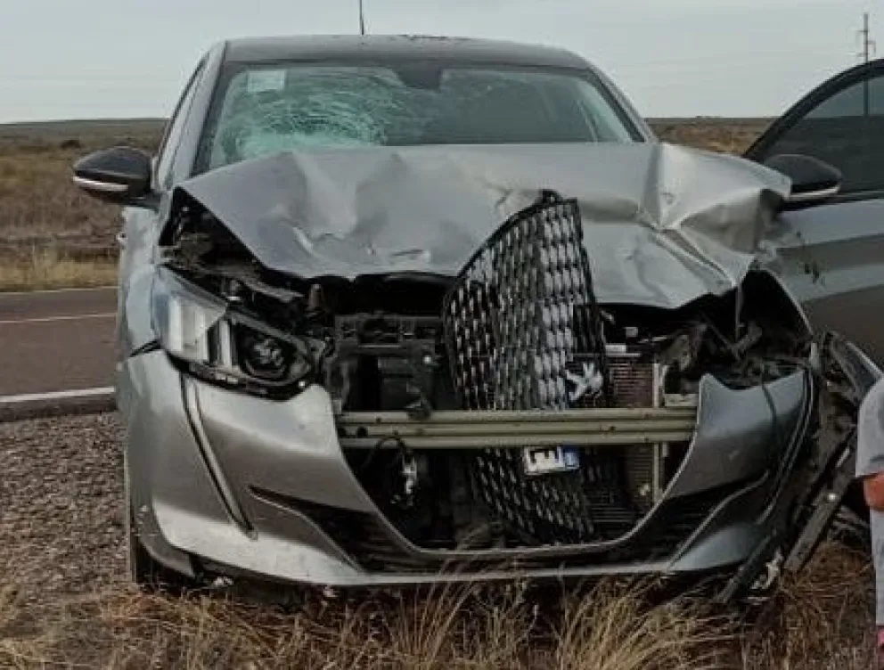 El peor viaje de su vida: chocó con un guanaco y terminó con el auto hecho trizas