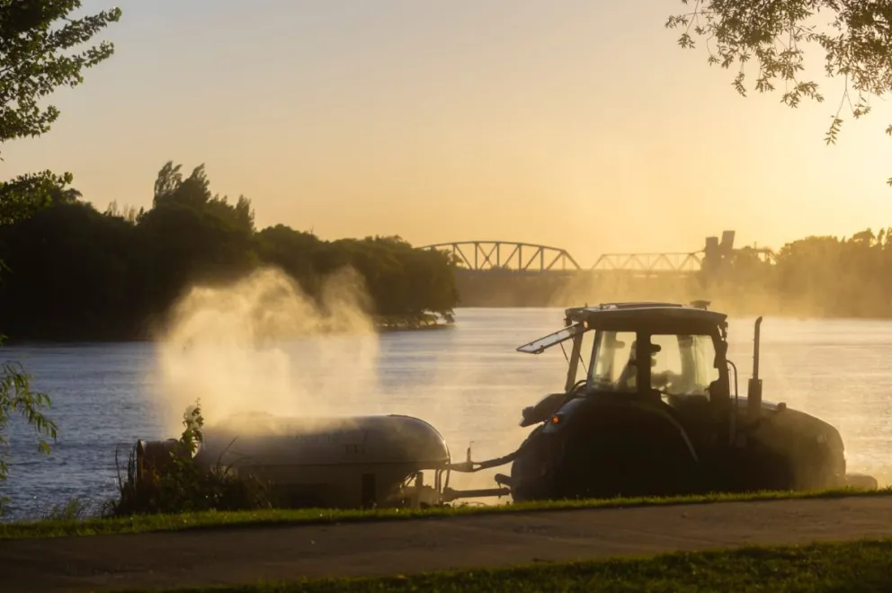 Tras las múltiples quejas, Viedma y Patagones combatirán en conjunto a los mosquitos