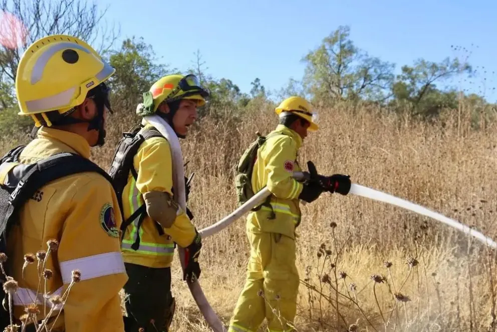 Advierten condiciones extremas de riesgos de incendios forestales