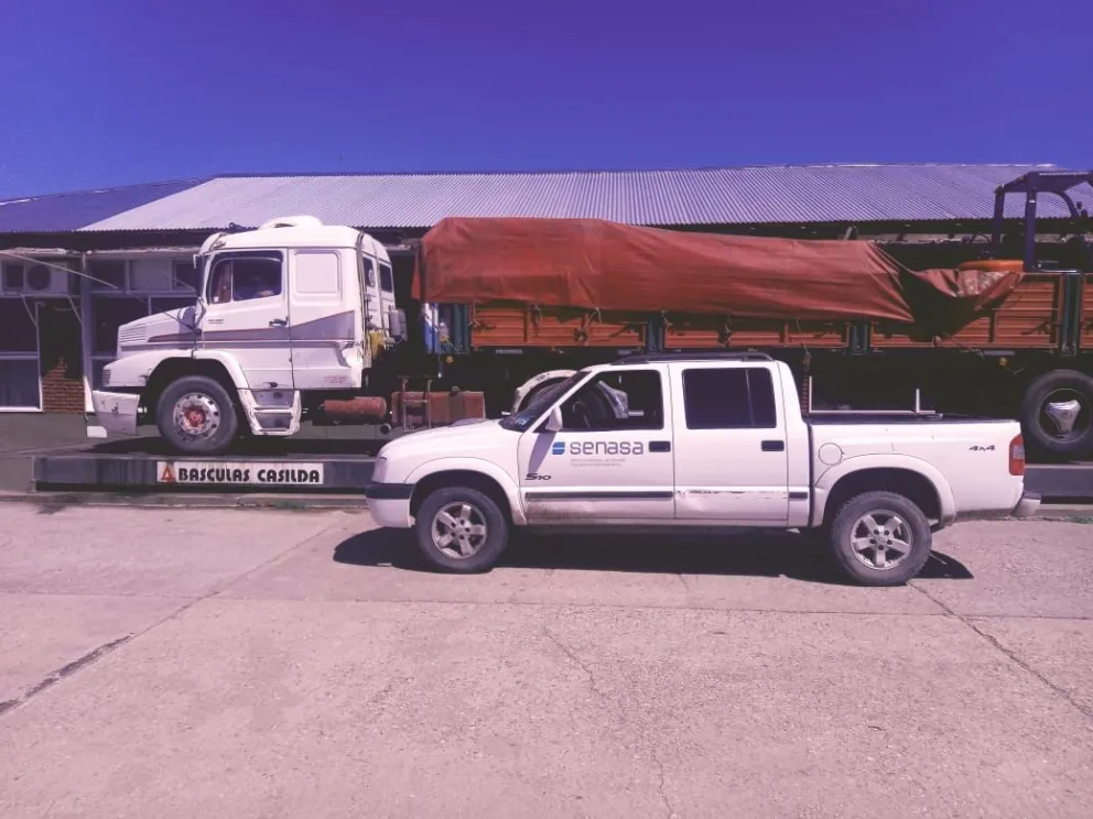 Decomisaron casi dos toneladas de carne en la Barrera Zoofitosanitaria