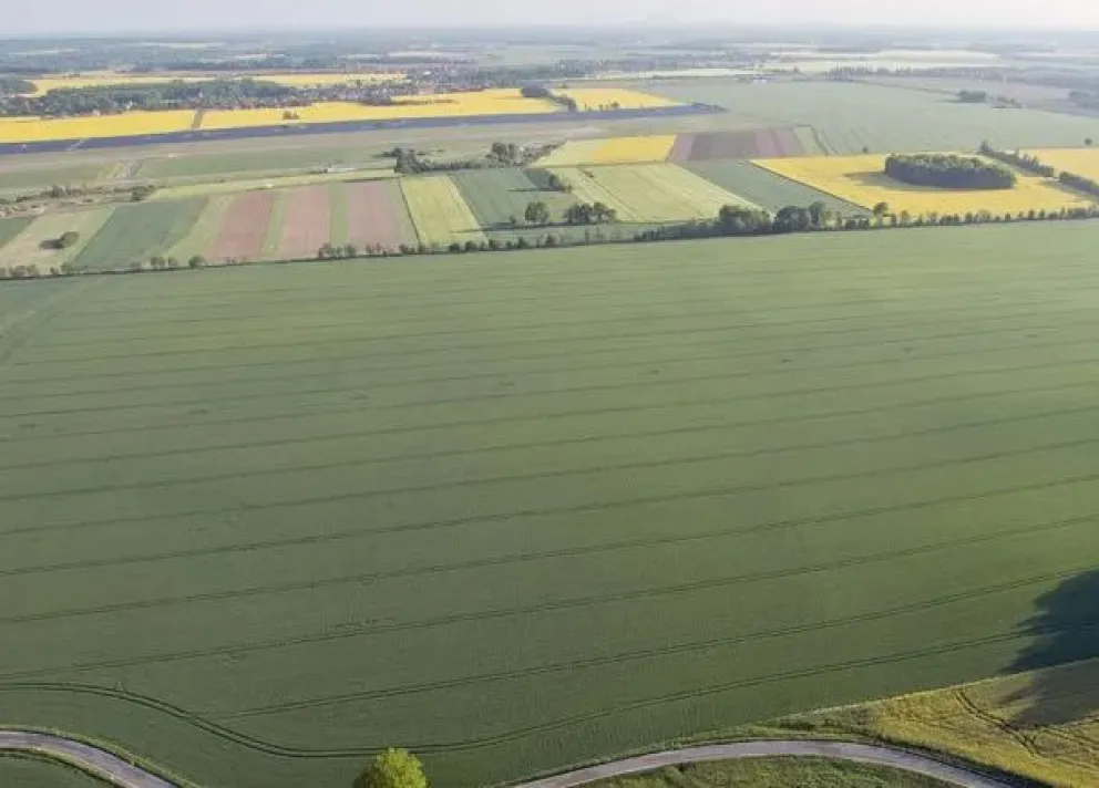 Suspenden medida que permitía venta de tierras a extranjeros en Argentina