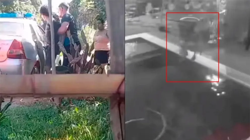 Video del horror: ahogó a un perro en la pileta para robar una garrafa