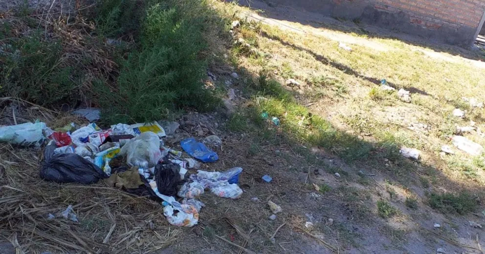 La verdad del otro lado de la calle: “Harta decidí devolverle la basura”