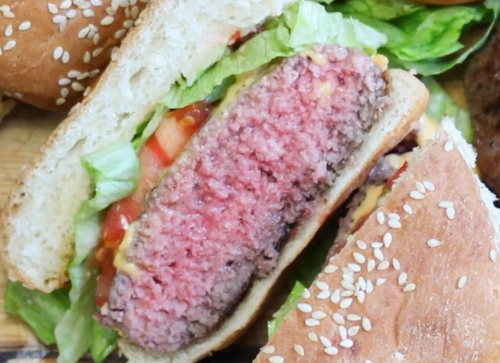 Cocinás mal y aparece el Síndrome Urémico Hemolítico: sugerencias de Salud