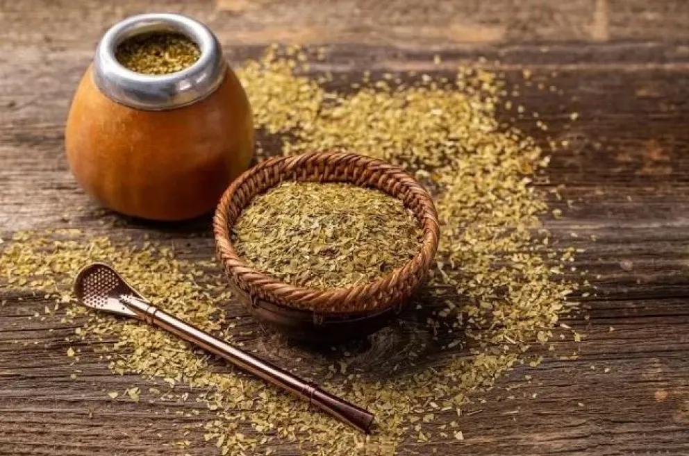 Paralización de la cosecha de yerba mate desata crisis en el sector