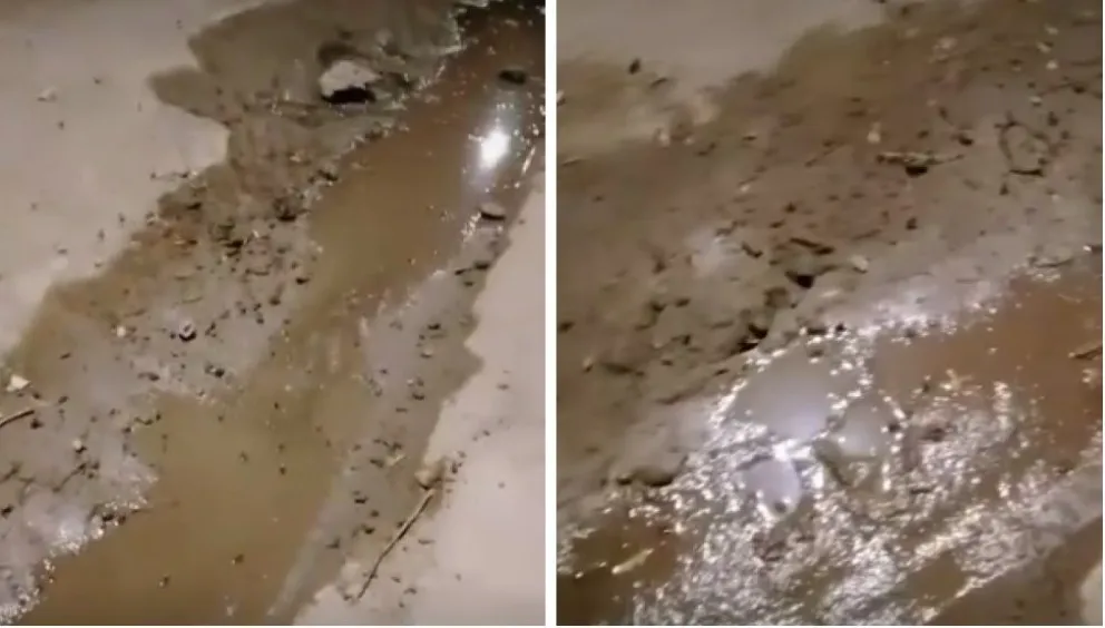 ¿La segunda plaga llegó a Viedma? Vecinos de Las 25 Viviendas fueron invadidos por renacuajos y sapos