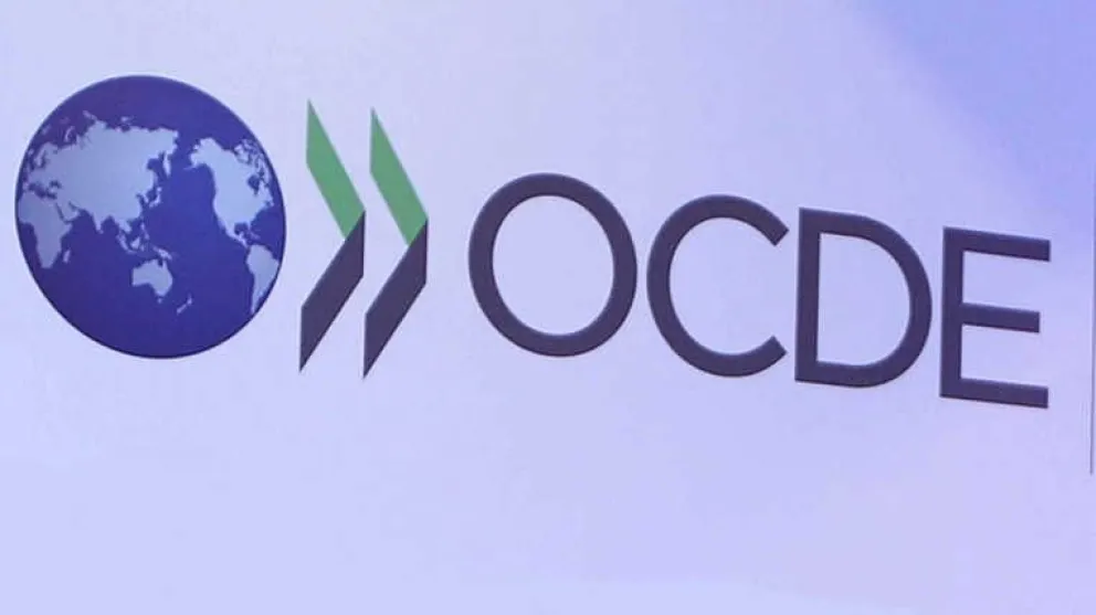 OCDE proyecta grave recesión y alta inflación para Argentina