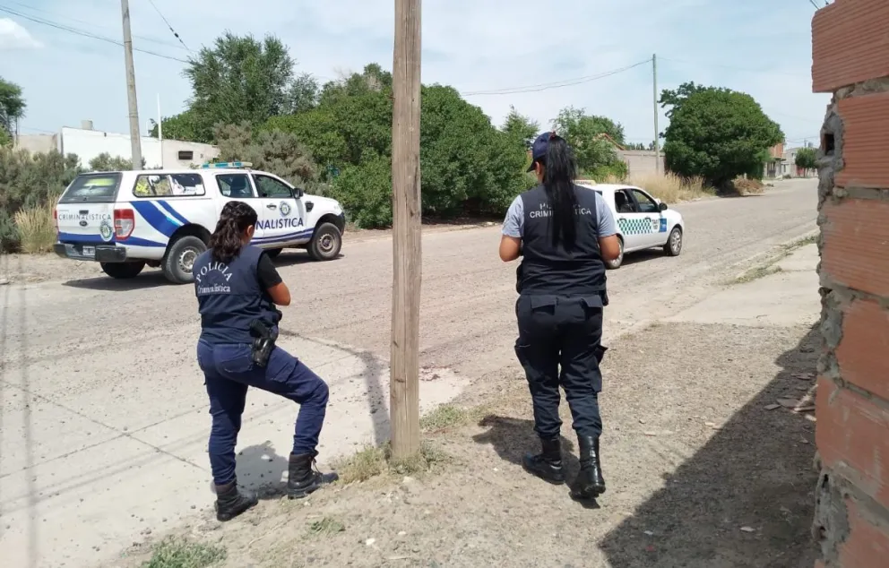 Ya ni ovejas se puede tener en el patio: carnearon un rebaño a un vecino