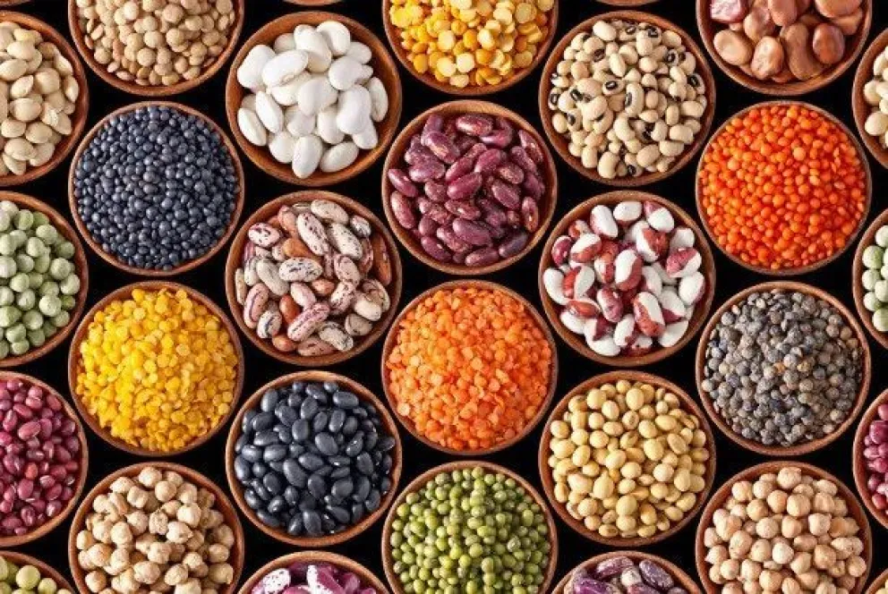 Con Todo Gusto y una guía completa sobre las legumbres: cómo usarlas y cuáles son sus beneficios