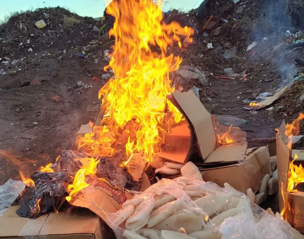 Quemaron mariscos y calamares que eran transportados en forma irregular