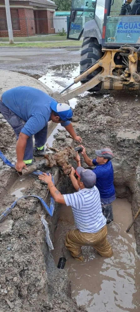 Corte de agua en Viedma: cuándo volverá en los barrios que en la mañana de este sábado 17 se quedaron sin servicio