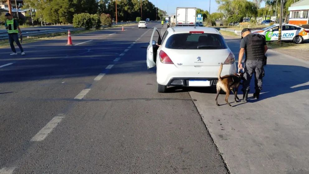 Hasta con canes se plantaron policías rionegrinos en el ingreso a Viedma