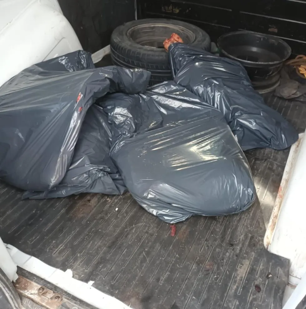 Carne trucha: secuestran más de 100 kilos