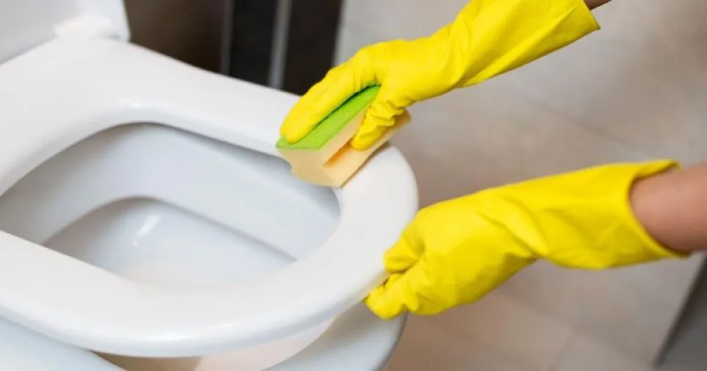 Tips caseros para eliminar manchas de la tapa del inodoro