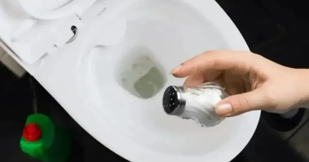 Sal, la solución para mantener tu inodoro limpio y sin olores