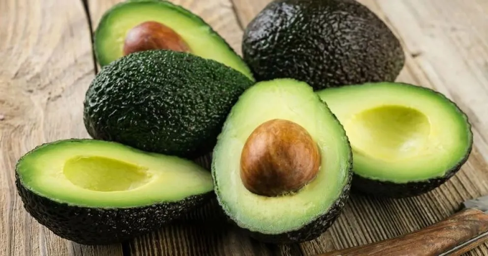 Conservación prolongada: tips para que tus paltas se mantengan frescas