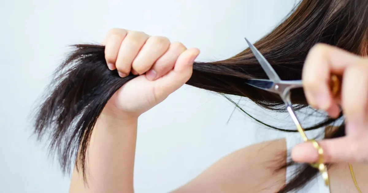 Los mejores días para cortarse el cabello en marzo, según el calendario  lunar 2024