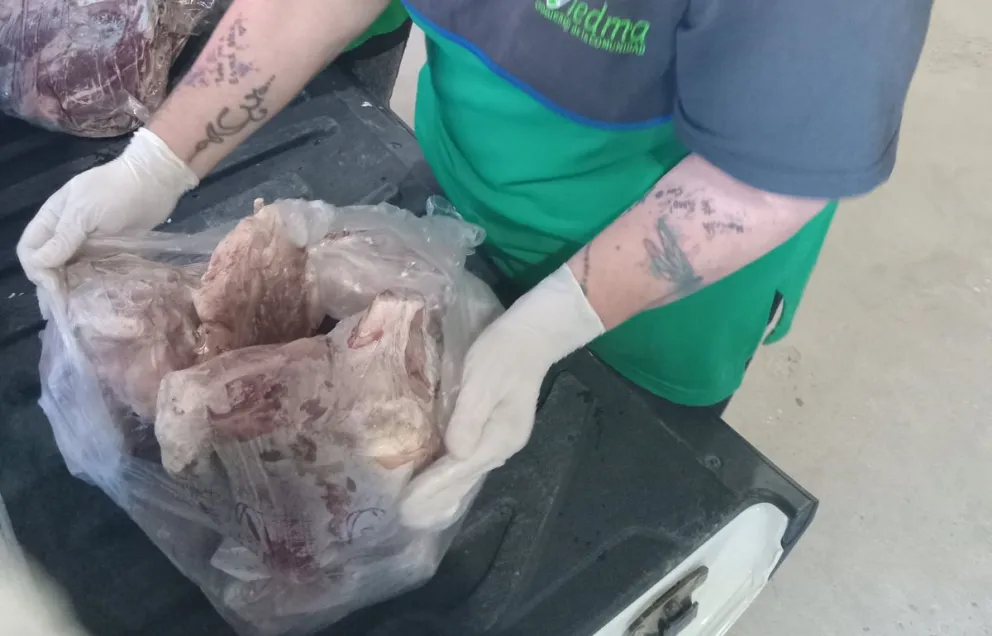 Encontraron carne vencida en un supermercado de Viedma