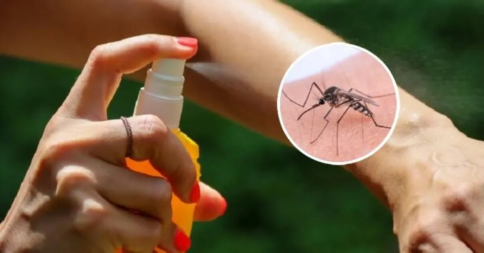 Descubrí el truco viral para alejar a los mosquitos este verano