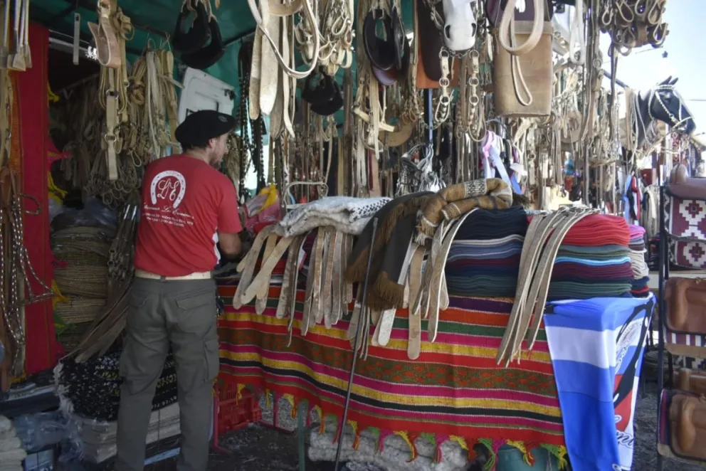 Fiesta de la Soberanía: Rosemberg destacó el trabajo de las diferentes áreas municipales 