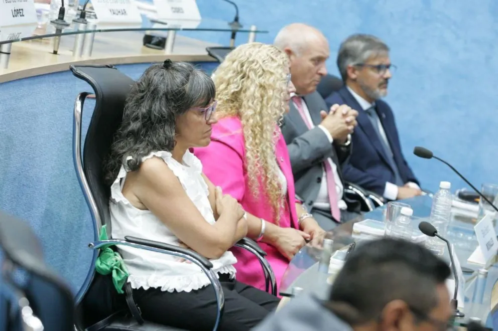 "Dejemos de fingir demencia": la legisladora Cévoli cuestionó "el discurso del odio" del gobierno de Milei