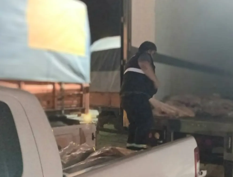 Golpe a la carne trucha: decomisan más de 1.000 kilos en pocos días