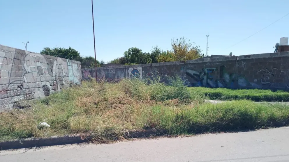 Los yuyos ya no dejan ver la escuela 263 y hay quejas 