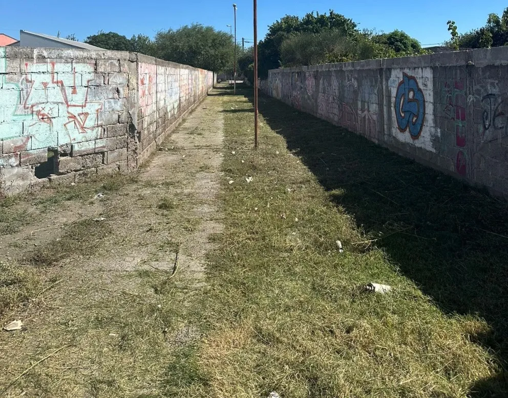  Rápida respuesta del Municipio: limpiaron los alrededores de la escuela 263