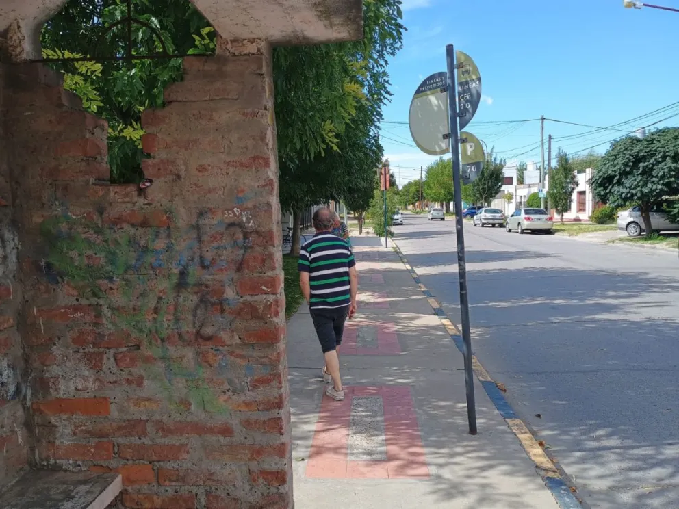 Los héroes y las heroínas viajan en colectivo en la Comarca Viedma-Patagones