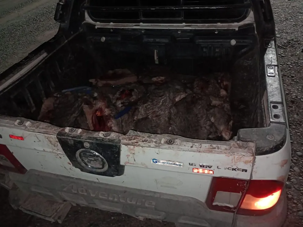 Caza furtiva: decomisan carne de vizcacha en la región