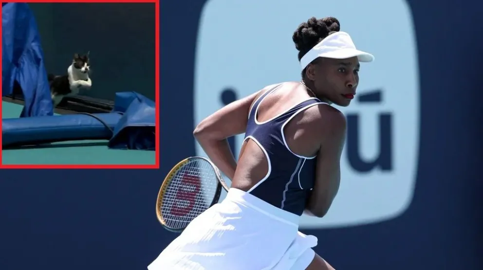 Mirá el video: Venus Williams fue interrumpida por un inesperado visitante en un partido de tenis