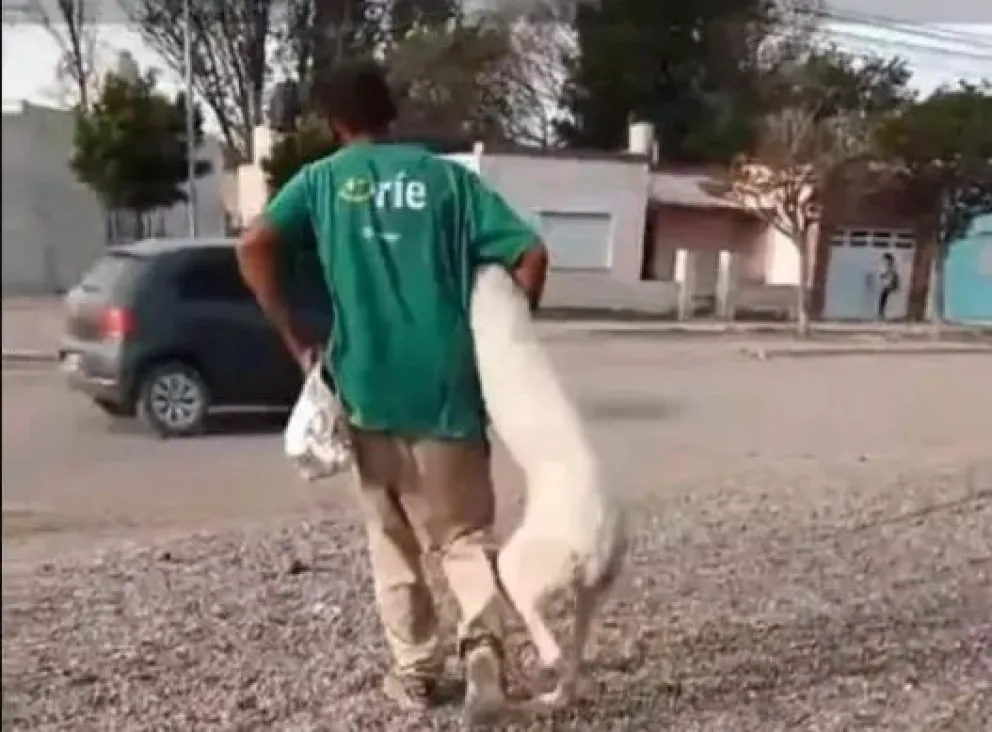 La Justicia rionegrina dispuso la detención del violador de perros