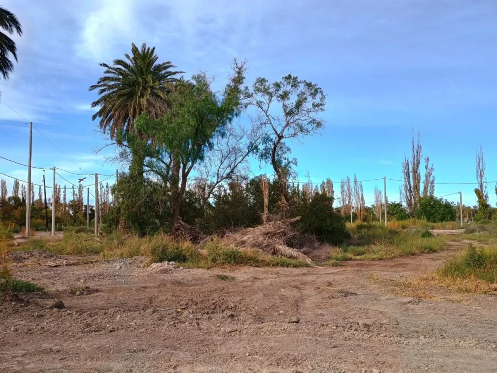 Patagones: vecinos enojados con la municipalidad por el abandono de un terreno