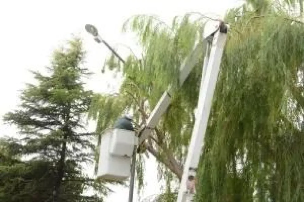 La Municipalidad de Viedma optimiza la seguridad urbana y el alumbrado público