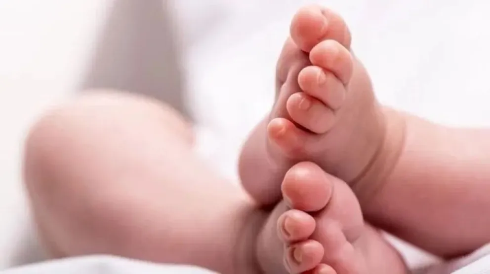 ¡Atención! Senaf busca un hogar temporal para un bebe de 4 meses