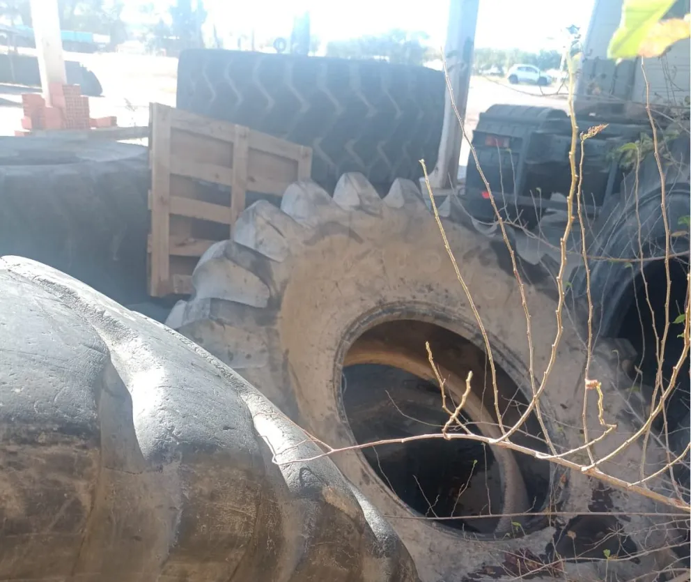 Descubren cómo llegan a Río Negro los mosquitos del dengue