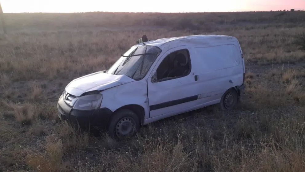 Susto mayúsculo en la ruta: se le cruzaron cinco jabalíes