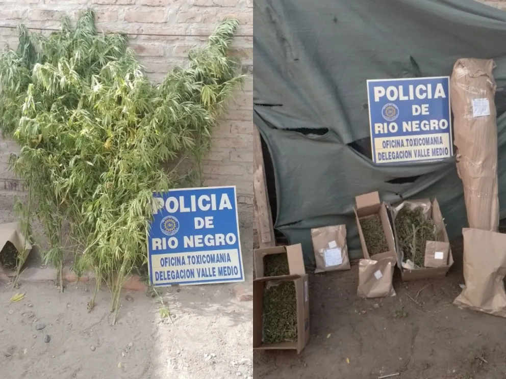 Golpe al narcotráfico: secuestran droga,  dinero en efectivo y armas