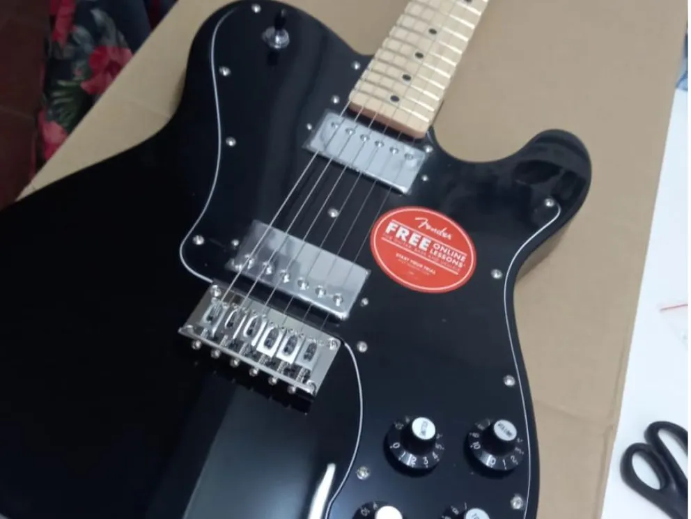 Robaron una costosa guitarra eléctrica y al autor del delito se lo tragó la tierra