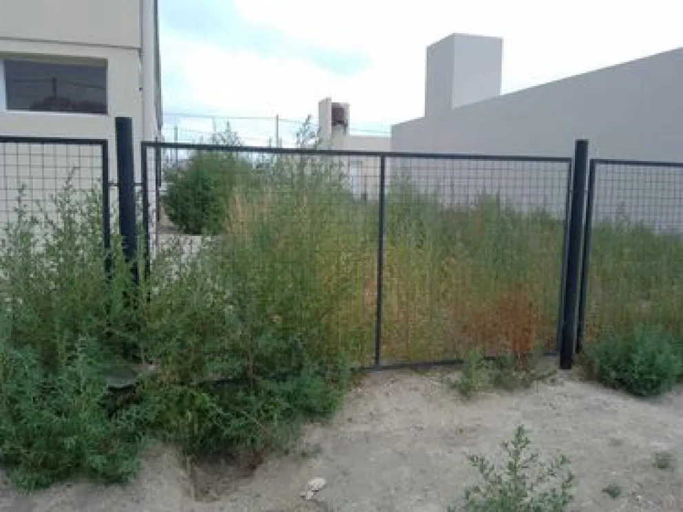 Lío con una vivienda en disputa por usurpación en la que Justicia ordenó el desalojo