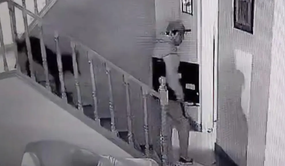 Insoportable inseguridad: detectan a un ladrón robándose un tele con total impunidad