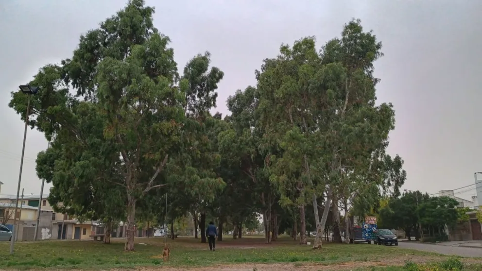 Fotos: Vanesa Schwemmler