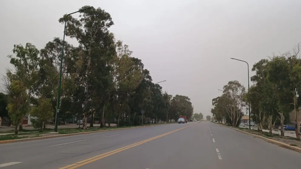 Foto: Vanesa Schwemmler