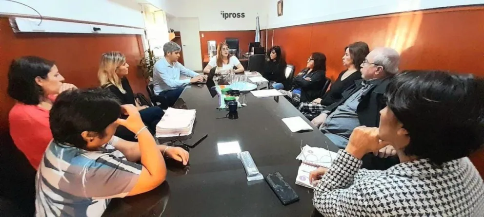 Arman estrategias para brindar respuestas a la discapacidad