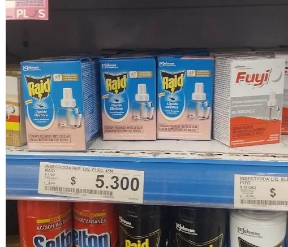 Falta de repelentes y precios elevados: la despareja lucha contra mosquitos en Viedma 