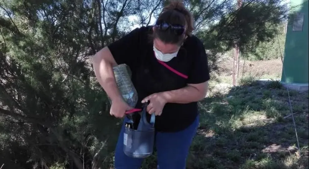 Río Negro refuerza las medidas de prevención contra el Dengue