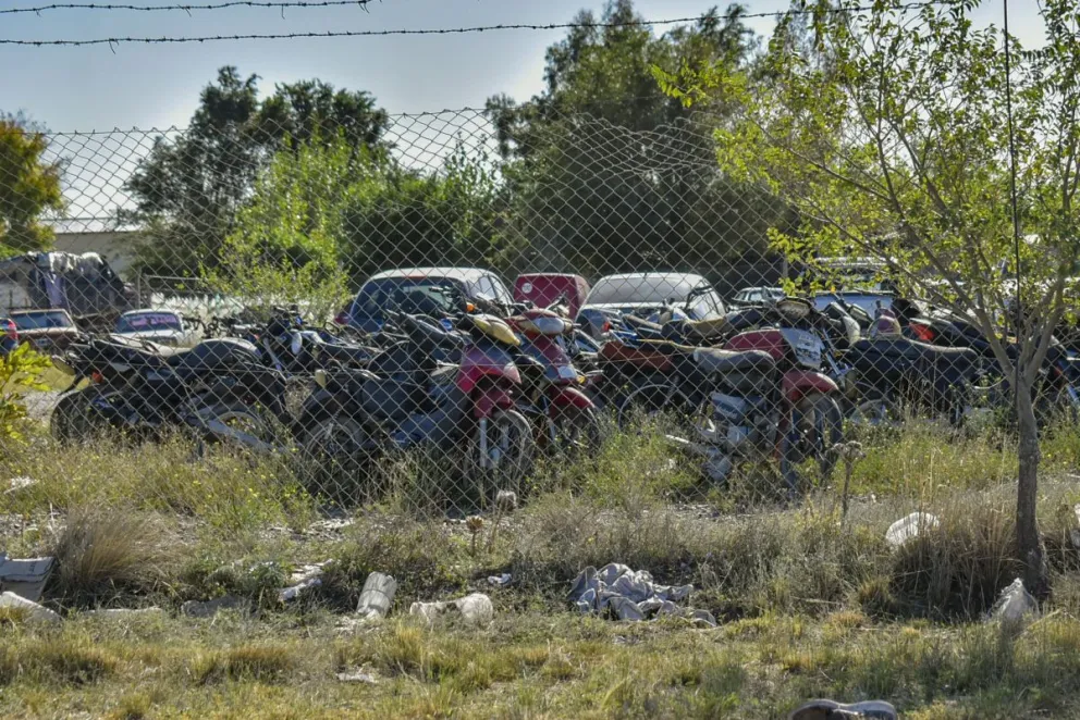 Unos 300 vehículos están listos para terminar en la compactadora