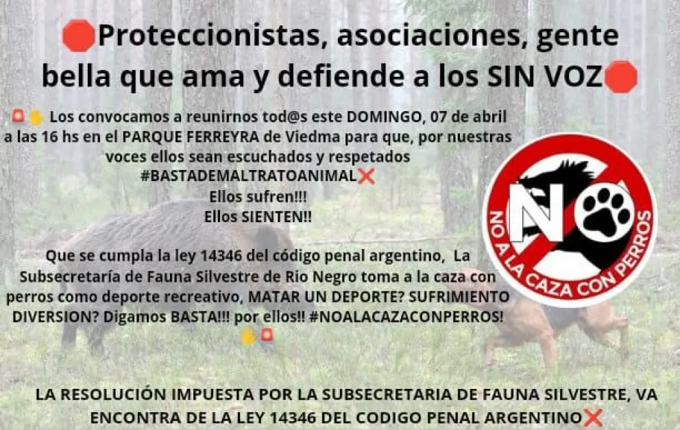 Gran juntada perruna en el Parque Ferreira