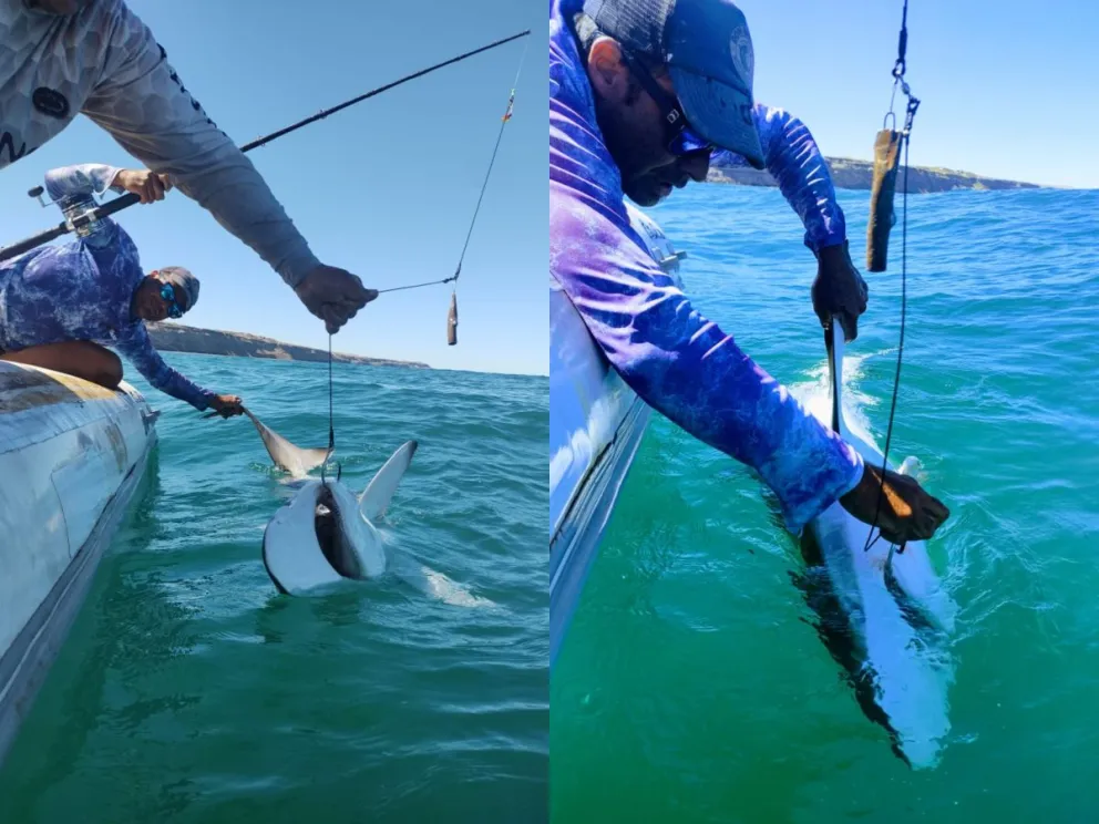 Se busca promover una pesca cada vez más sustentable.  Foto archivo.
